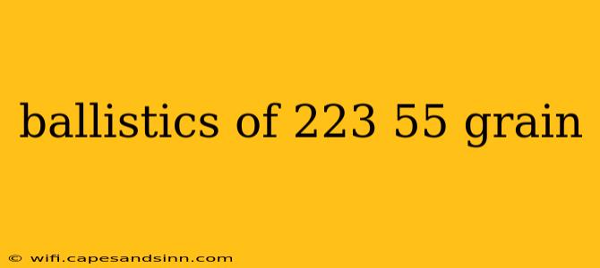 ballistics of 223 55 grain