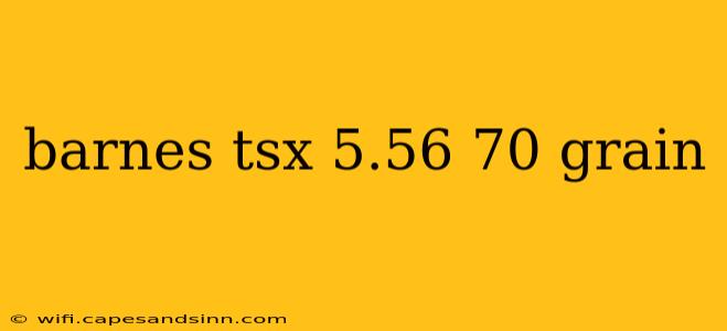 barnes tsx 5.56 70 grain