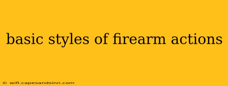 basic styles of firearm actions