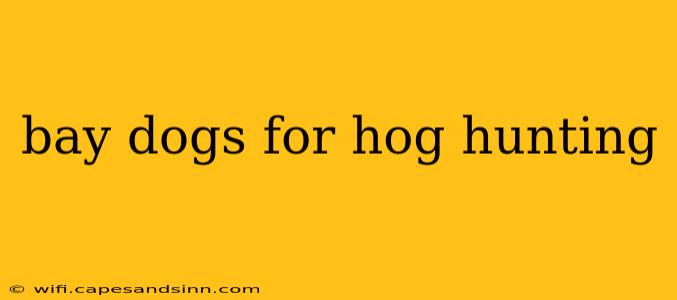 bay dogs for hog hunting