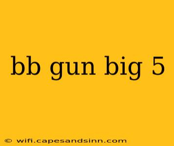 bb gun big 5