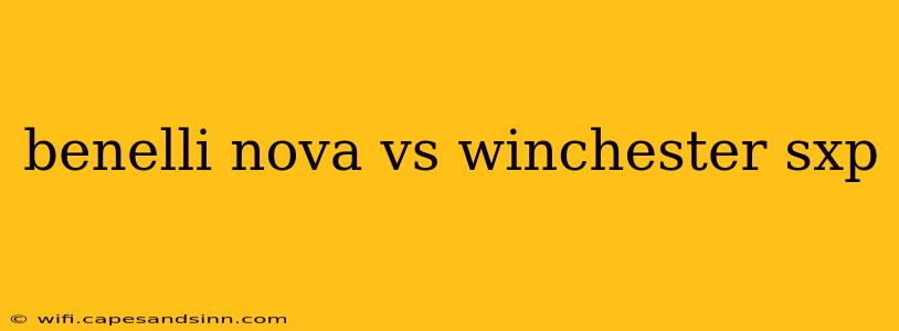 benelli nova vs winchester sxp