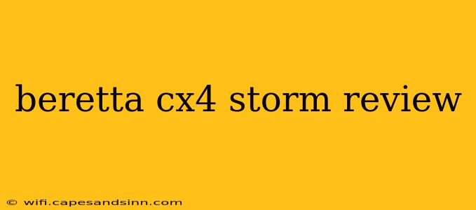 beretta cx4 storm review