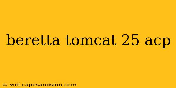 beretta tomcat 25 acp