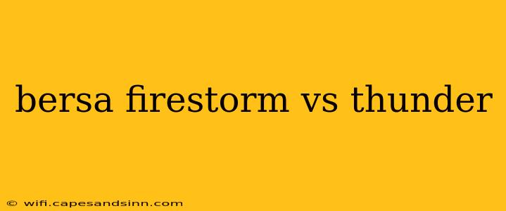 bersa firestorm vs thunder