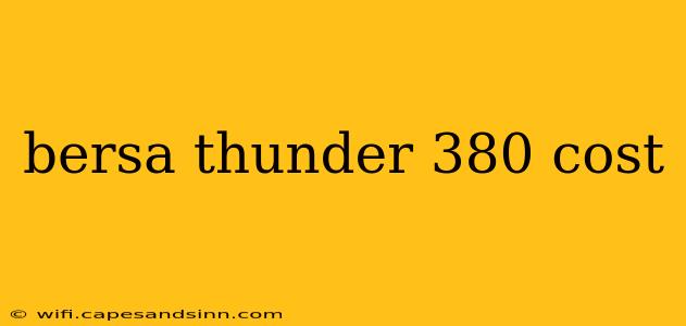 bersa thunder 380 cost