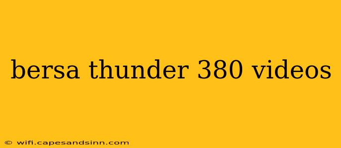 bersa thunder 380 videos