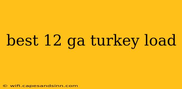 best 12 ga turkey load