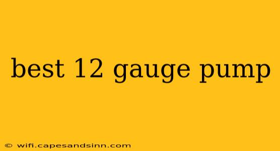 best 12 gauge pump