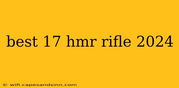 best 17 hmr rifle 2024