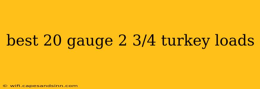 best 20 gauge 2 3/4 turkey loads