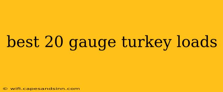 best 20 gauge turkey loads