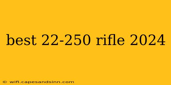 best 22-250 rifle 2024