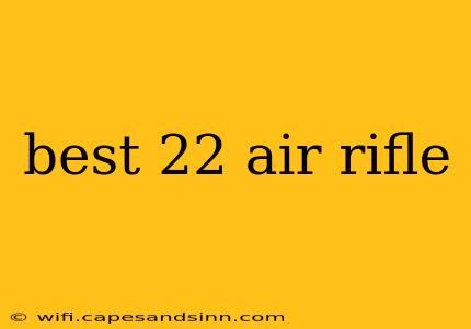 best 22 air rifle