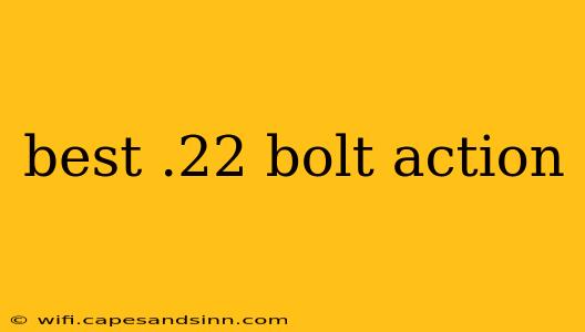 best .22 bolt action