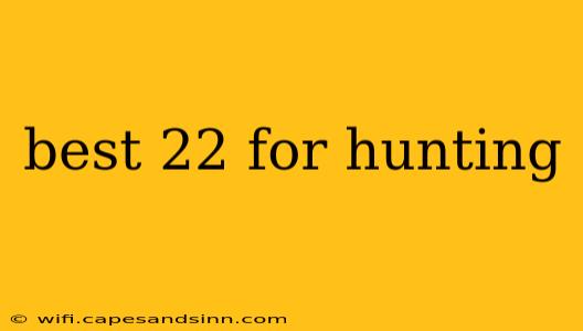 best 22 for hunting