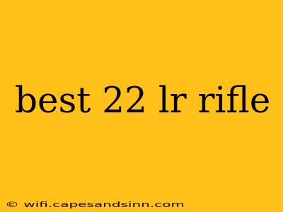 best 22 lr rifle