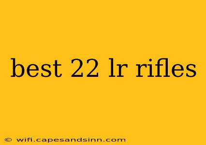 best 22 lr rifles