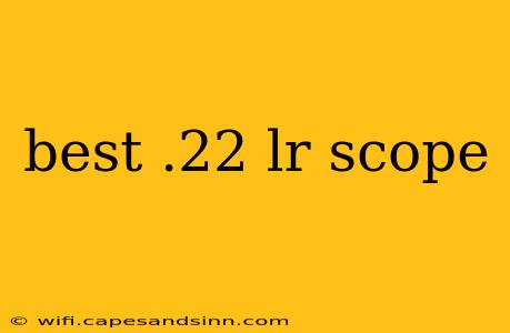 best .22 lr scope