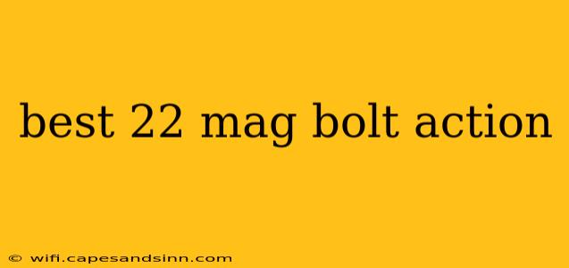 best 22 mag bolt action