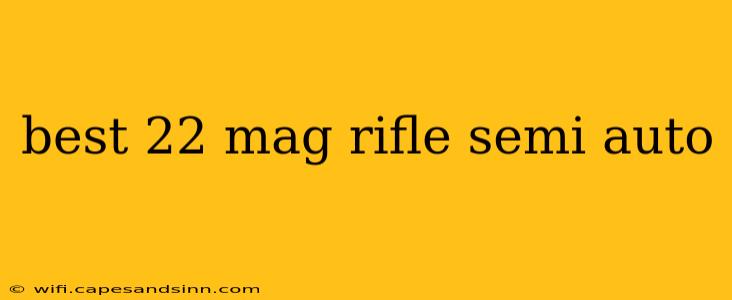 best 22 mag rifle semi auto