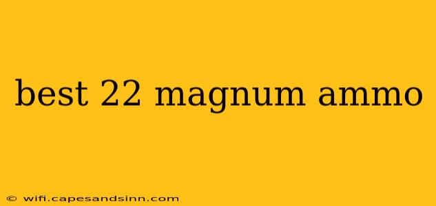 best 22 magnum ammo