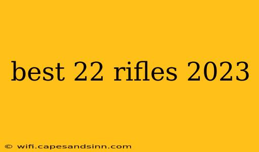 best 22 rifles 2023