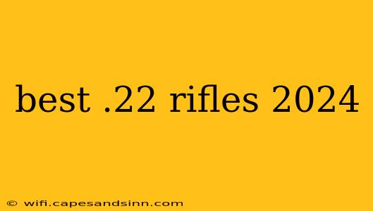 best .22 rifles 2024