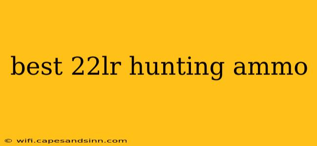 best 22lr hunting ammo