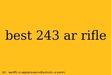 best 243 ar rifle