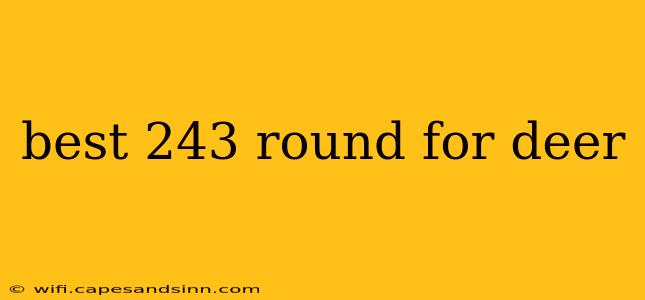 best 243 round for deer