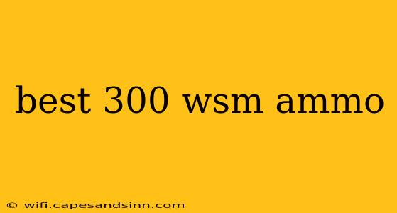 best 300 wsm ammo