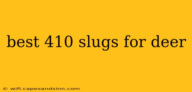 best 410 slugs for deer