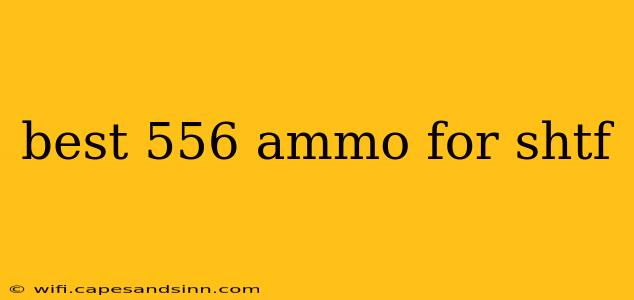 best 556 ammo for shtf