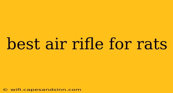 best air rifle for rats