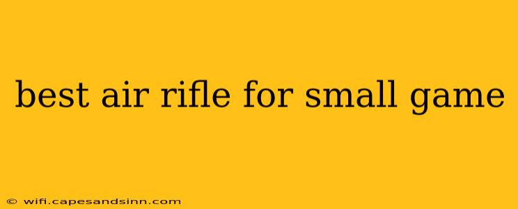 best air rifle for small game