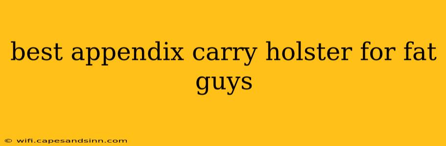 best appendix carry holster for fat guys