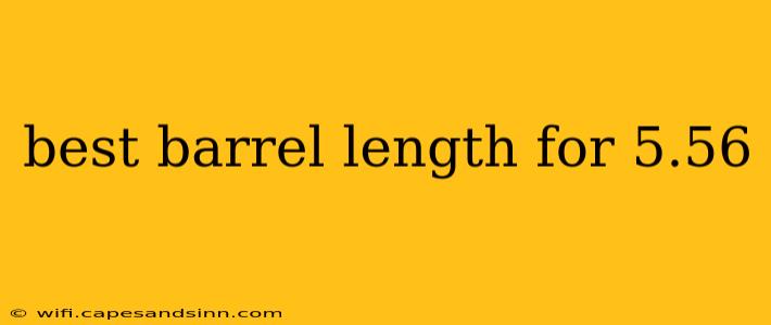 best barrel length for 5.56