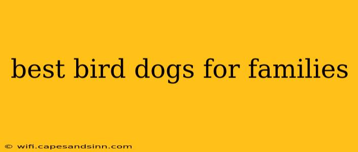 best bird dogs for families