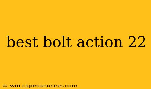 best bolt action 22