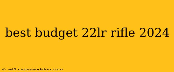 best budget 22lr rifle 2024