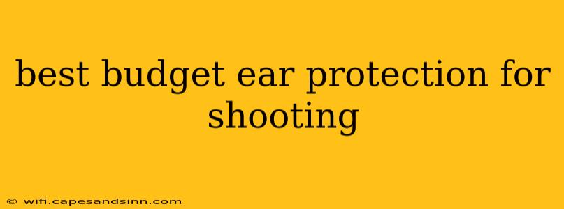 best budget ear protection for shooting