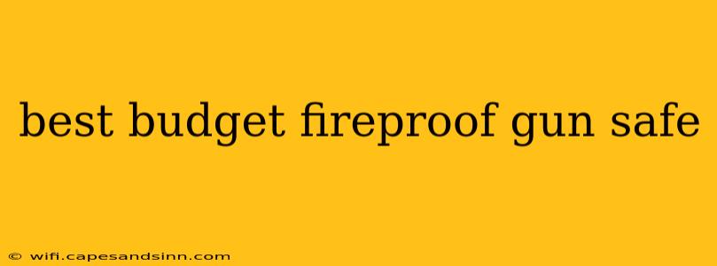 best budget fireproof gun safe