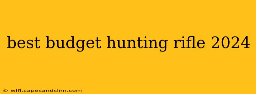 best budget hunting rifle 2024