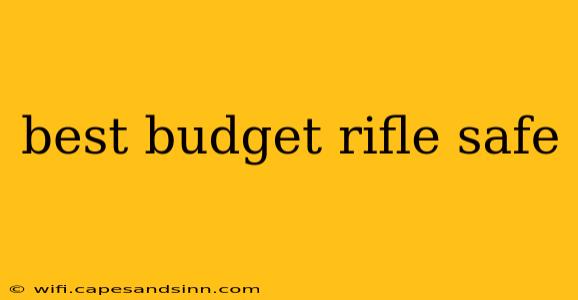 best budget rifle safe