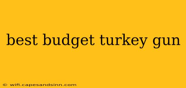 best budget turkey gun