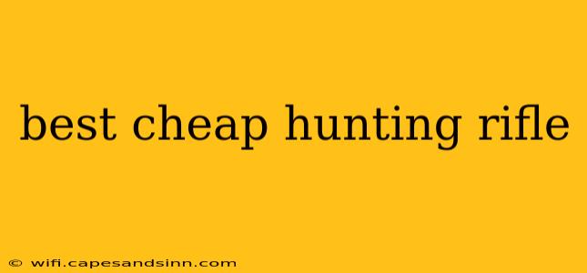 best cheap hunting rifle