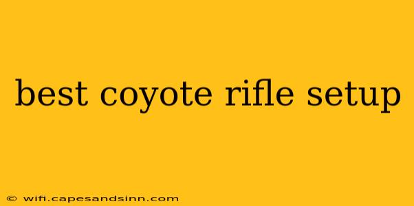 best coyote rifle setup