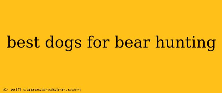 best dogs for bear hunting