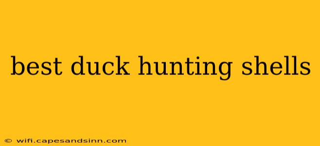 best duck hunting shells